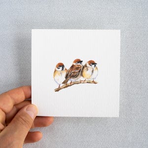 Sparrows Friendship - Art print 10 x 10 cm from the original miniature watercolor - songbirds - mini painting - bird painting - small painting - child