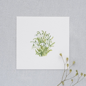 春の音 - スノードロップ - ミニチュア水彩画 - 原画から10 x 10 cmのアートプリント - 春の花の絵画