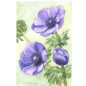 Acquerello dipinto a mano ORIGINALE - brillante sogno floreale - anemoni - dipinto di fiori, illustrazione botanica, disegno