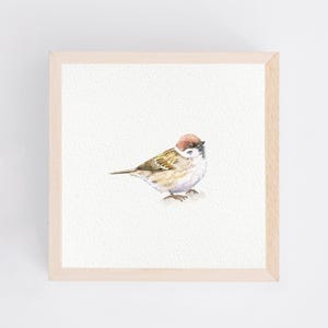 Little Sparrow - Miniature Watercolor - 10 x 10 cm Art Print of the Original - Sparrow - Bird - Painting