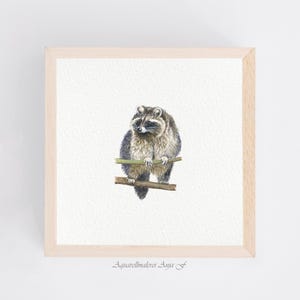 Funny Raccoon – Art Print 10 x 10 cm – Miniature Watercolor – Animal Portrait Painting – Small Painting, Picture, Children&#39;s Room Wall Decoration