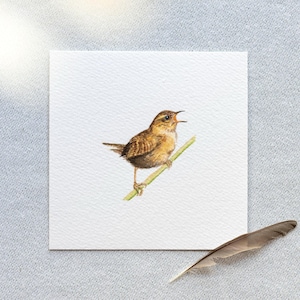 Singing Wren - Miniature Watercolor - Art Print 10 x 10 cm from the Original - Bird Painting - Mini Watercolor - Children&#39;s Room - Wall Decoration