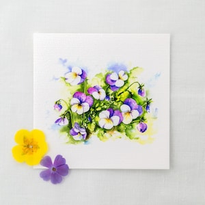 Violetas com chifres - amores-perfeitos - aquarela em miniatura - impressão artística 10 x 10 cm do original - pequena pintura de flores - decoração de parede da natureza