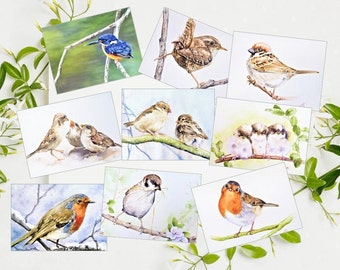 Aquarel kaarten set van 9 vogels vogel illustraties vogel schilderij zangvogels Sparrow Robin Wren vogel kunst wenskaarten