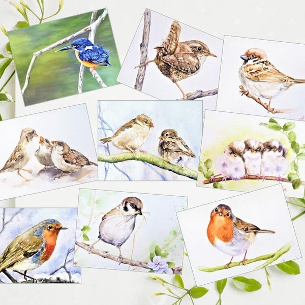Aquarell Karten 9er Set  Vögel Vogelillustrationen Vogelmalerei Singvögel Spatz Rotkehlchen Zaunkönig Vogelkunst Grußkarten