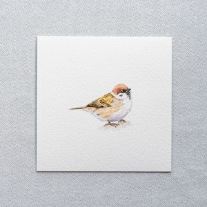 Kleiner Spatz - Miniatur Aquarell – 10x10 cm Kunstdruck vom Original - Sperling - Vogel - Malerei