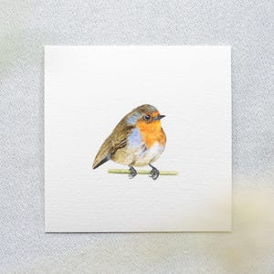 Pretty robin - art print 10 x 10 cm from the original miniature watercolor - bird painting - mini watercolor - small picture - children&#39;s room - wall