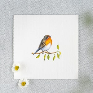 Pettirosso canterino - Acquerello in miniatura - Stampa artistica 10 x 10 cm dall'originale - Dipinto di uccelli - Decorazione murale