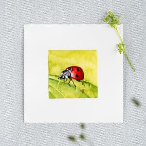 Glücksbringer - Marienkäfer  - Miniatur Aquarell – Kunstdruck 10x10cm vom Original - Käfer Malerei