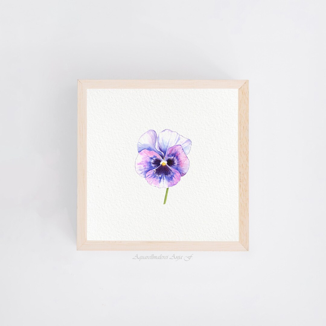 パンジー - 静かな美しさ - 水彩画アートプリント 10 x 10 cm - 壁装飾
