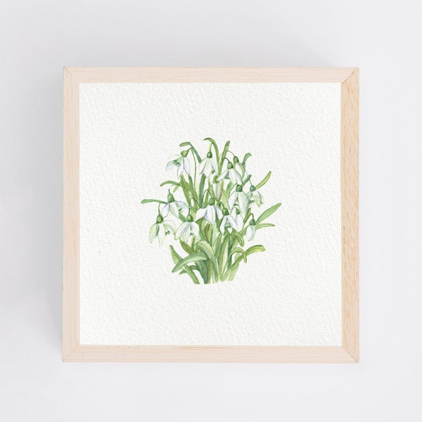 Frühlingsklang - Miniatur Kunst Druck vom Original Aquarell Schneeglöckchen Blumen kleines Gemälde Bild Zimmer Wand Deko