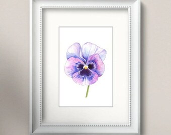 ORIGINAL watercolor pansy blossom hand-painted flower painting botanical illustration drawing artwork unique wall decoration horned violet