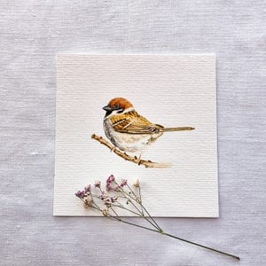 Ein kleiner Spatz auf einem Zweig -  Kunstdruck 10x10cm vom Original - Miniatur Malerei - Vögel - Mini-Gemälde Bild - Kinder-Zimmer - Wand D