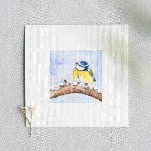 Cinciarella - Acquerello in miniatura - Stampa artistica 10 x 10 cm dall'originale - Decorazione da parete - Uccello