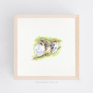 Close Friendship - Sparrows - Miniature Watercolor - Art Print 10 x 10 cm from the Original - Sparrow Wall Decor