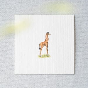 Grazile Giraffe - Miniatur Aquarell – Kunstdruck 10x10cm vom Original - Malerei Tierporträt - kleines Gemälde Bild Kinderzimmer Wanddeko