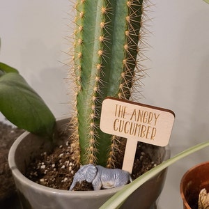 House Plant Signs