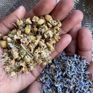 Wind Down Tea• Herbal Blend • Organic Herbal Blend • Vegan • All-Natural • Pesticide-Free• Wellness