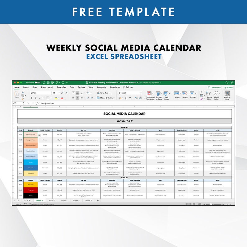 Virtual Assistant Organizer Monthly Weekly Excel Spreadsheet Etsy