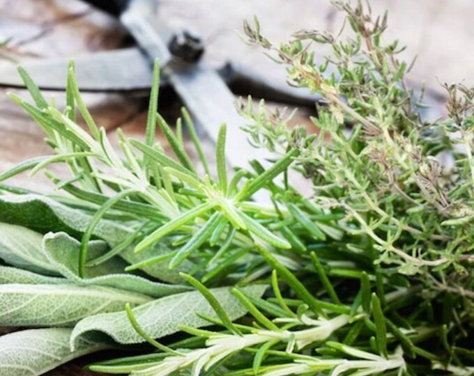 Rosemary Sage