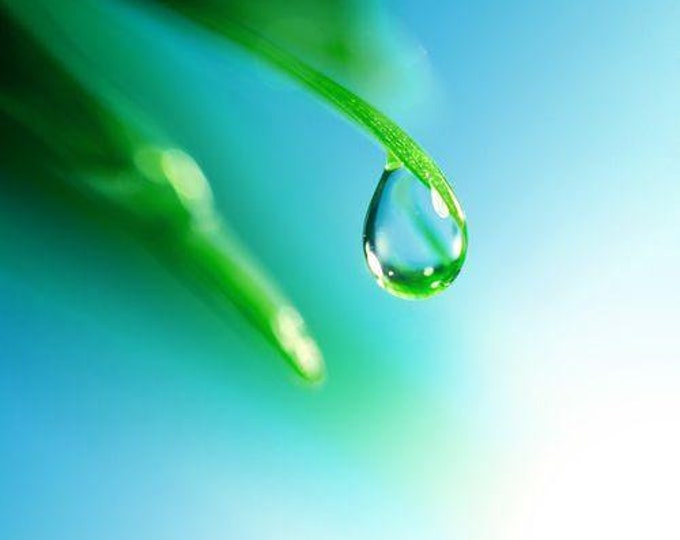 Rain Water