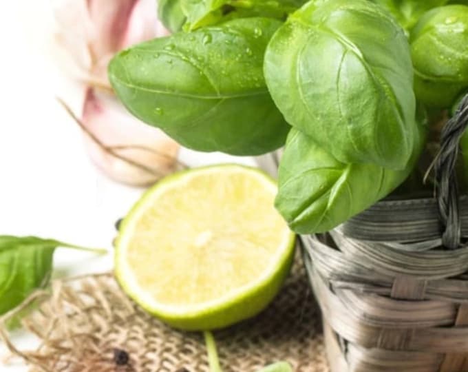 Lime Basil Mandarin