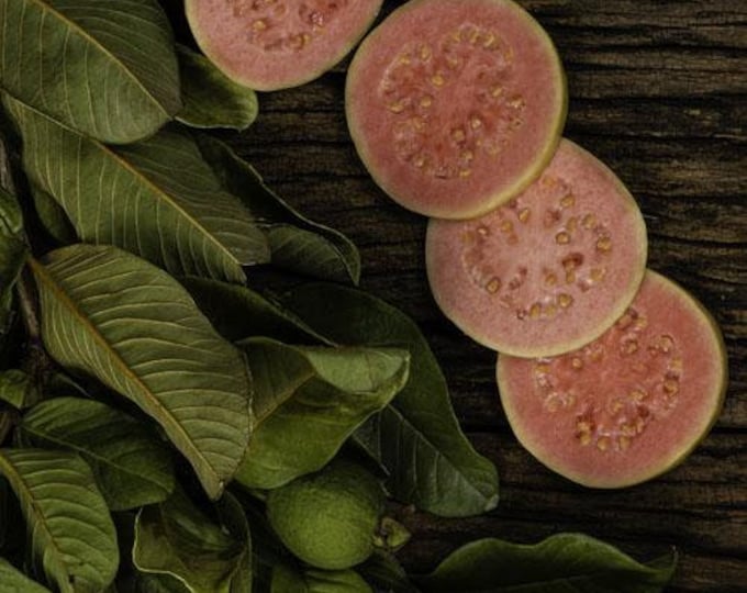 Strawberry Guava