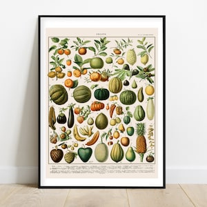 Adolphe Millot Poster Frans fruit Vintage Home Decor Franse vintage kunst, Fruit Print, Botanische Print Illustratie, Keuken Home Decor