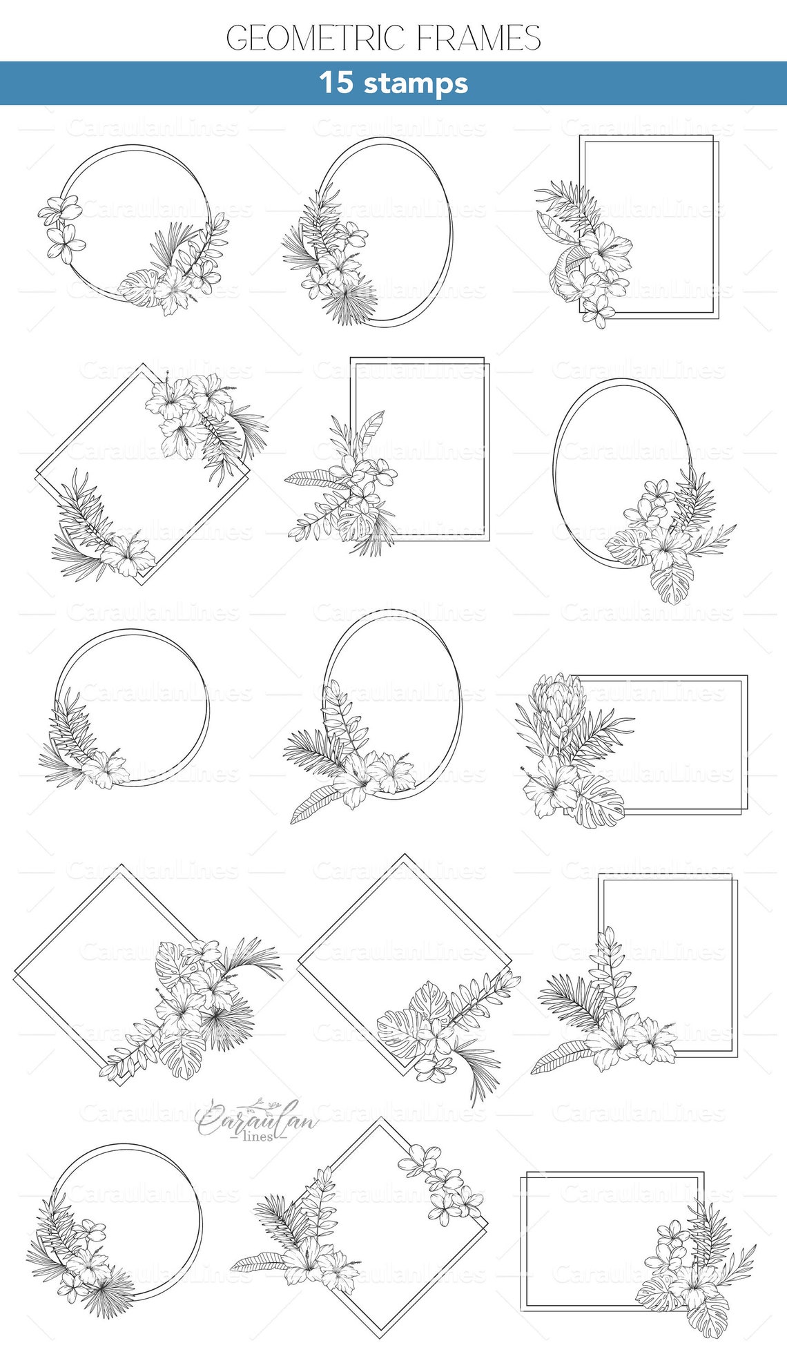 Procreate Floral Stamp Brush Set: Tropical Plants and Flowers ...