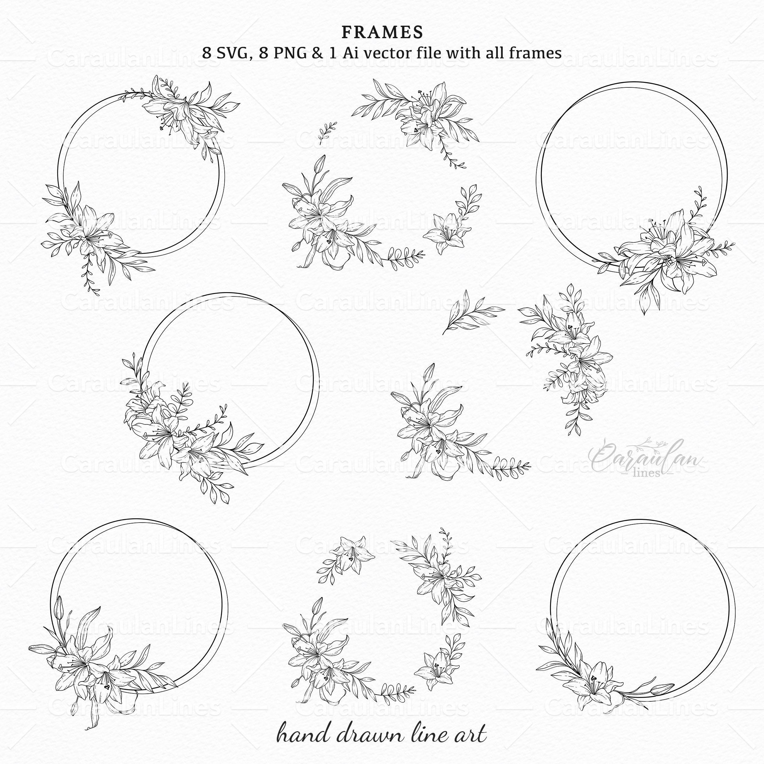 Lily Line Art, Lily Flower SVG, Botanical Clipart Svg, Lilies PNG, Hand