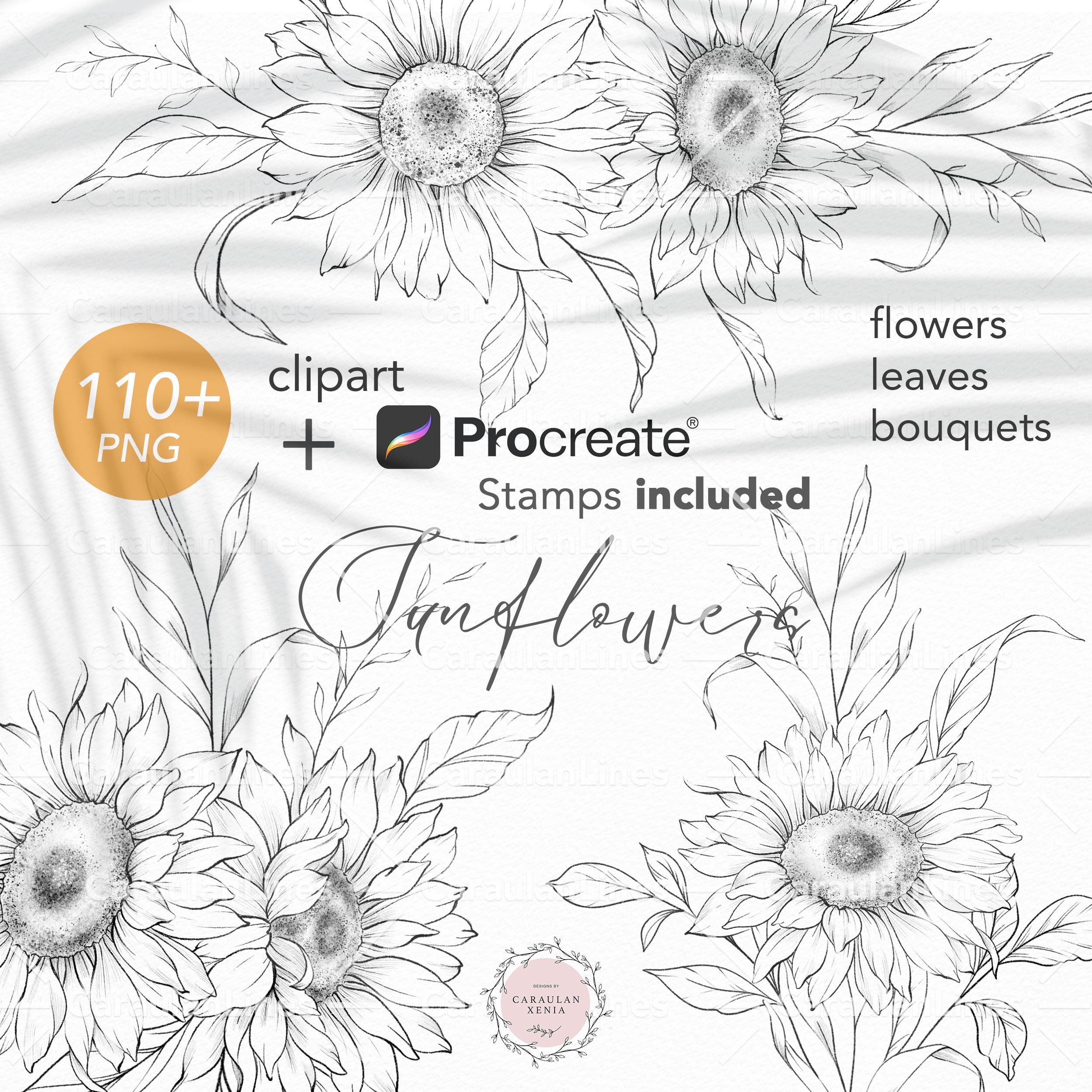 Procreate Floral Stamp, Sunflower Stamp, Floral Line Art, Botanical Stamps, Sunflowers Tattoo, Sunflowers Line Drawing, Stamps for Procreate