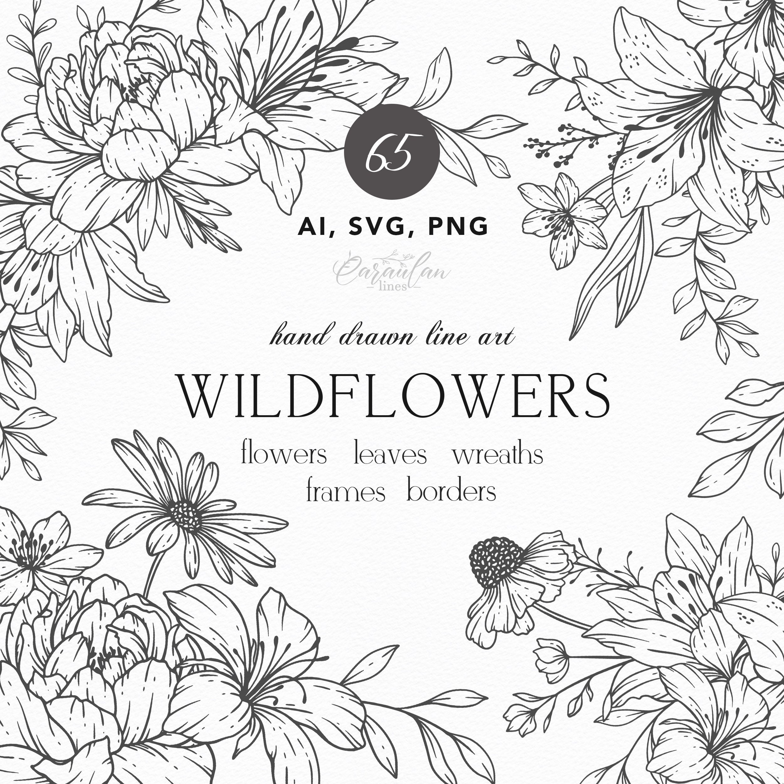 Wildflowers Line Art, Botanical Clipart SVG, Hand Drawn Wildflowers, Botanical Line Art PNG, SVG Flowers, Floral Vector Illustrations