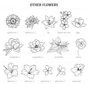 May include: Line art drawings of various flowers, including a sunflower, lily, magnolia, hibiscus, plumeria, anemone, tulip, forget-me-not, pansy, and poinsettia.