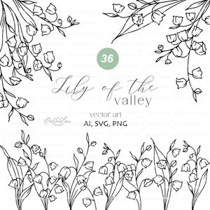 Dessin au trait muguet, muguet SVG, clipart botanique, fleurs dessinées à la main, dessin au trait botanique SVG, usage commercial