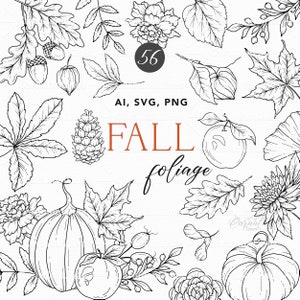 Fall Foliage SVG, bladeren Svg Clipart, val botanische lijntekeningen, herfst bloemen clipart, val bruiloft clipart, Thanksgiving SVG, eiken SVG