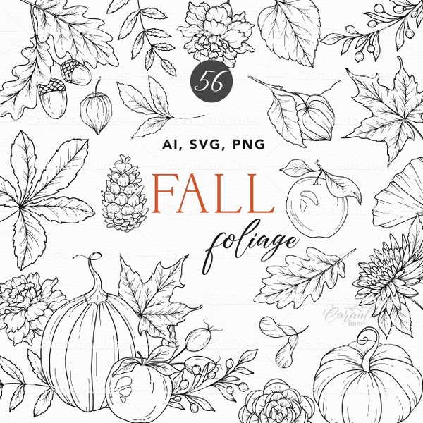 Fall Foliage SVG, Leaves Svg Clipart, Fall Botanical Line Art, Autumn Floral Clipart, Fall Wedding Clipart, Thanksgiving SVG, Oak svg