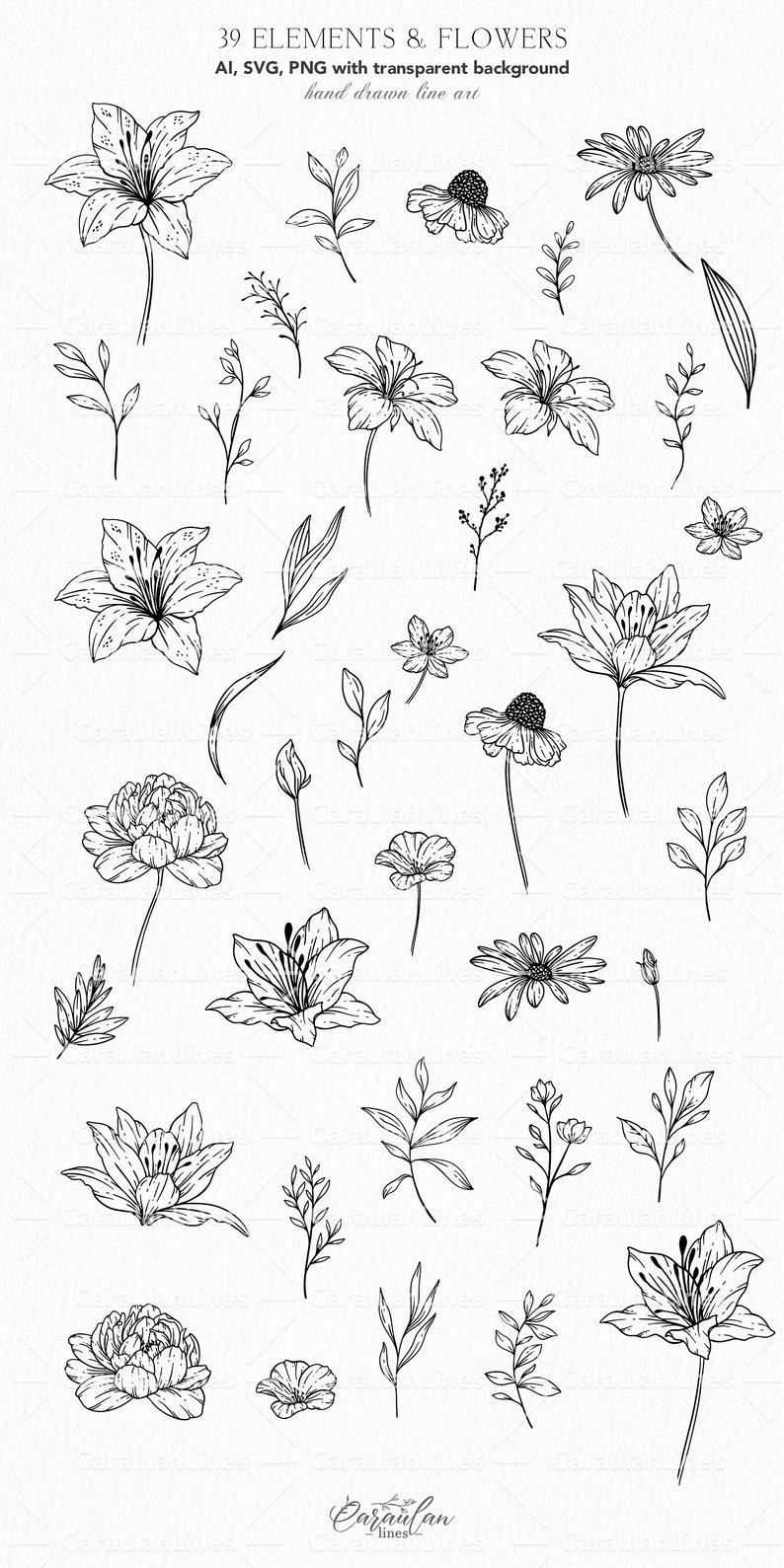 Wildflowers Line Art, Botanical Clipart SVG, Hand Drawn Wildflowers ...