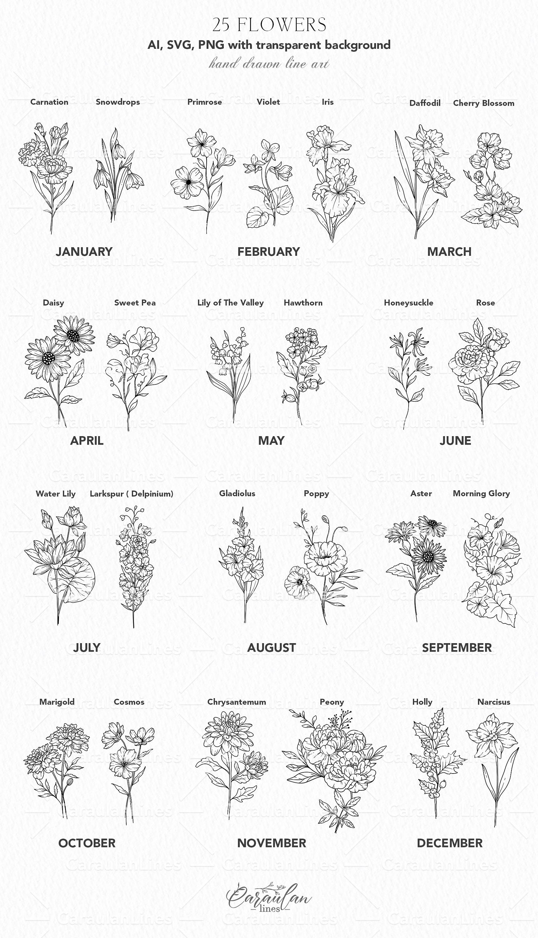 Birth Month Flowers SVG Bundle, Birth Flowers Clipart, Birth Flowers