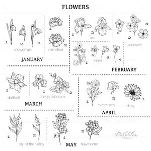 May include: A black and white line drawing illustration of flowers blooming throughout the year. The illustration is divided into 12 sections, each representing a month of the year. Each section features a different flower with its name labeled below. The flowers include snowdrops, carnations, irises, violets, daffodils, cherry blossoms, sweet peas, daisies, lilies of the valley, and hawthornes.