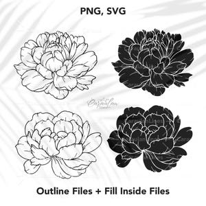 Pfingstrose SVG, Pfingstrose Silhouette, schwarze Silhouette der Pfingstrose, Floral SVG, handgezeichnete Pfingstblumen, Cricut Pfingstrose SVG, Florale Svg Cut Files