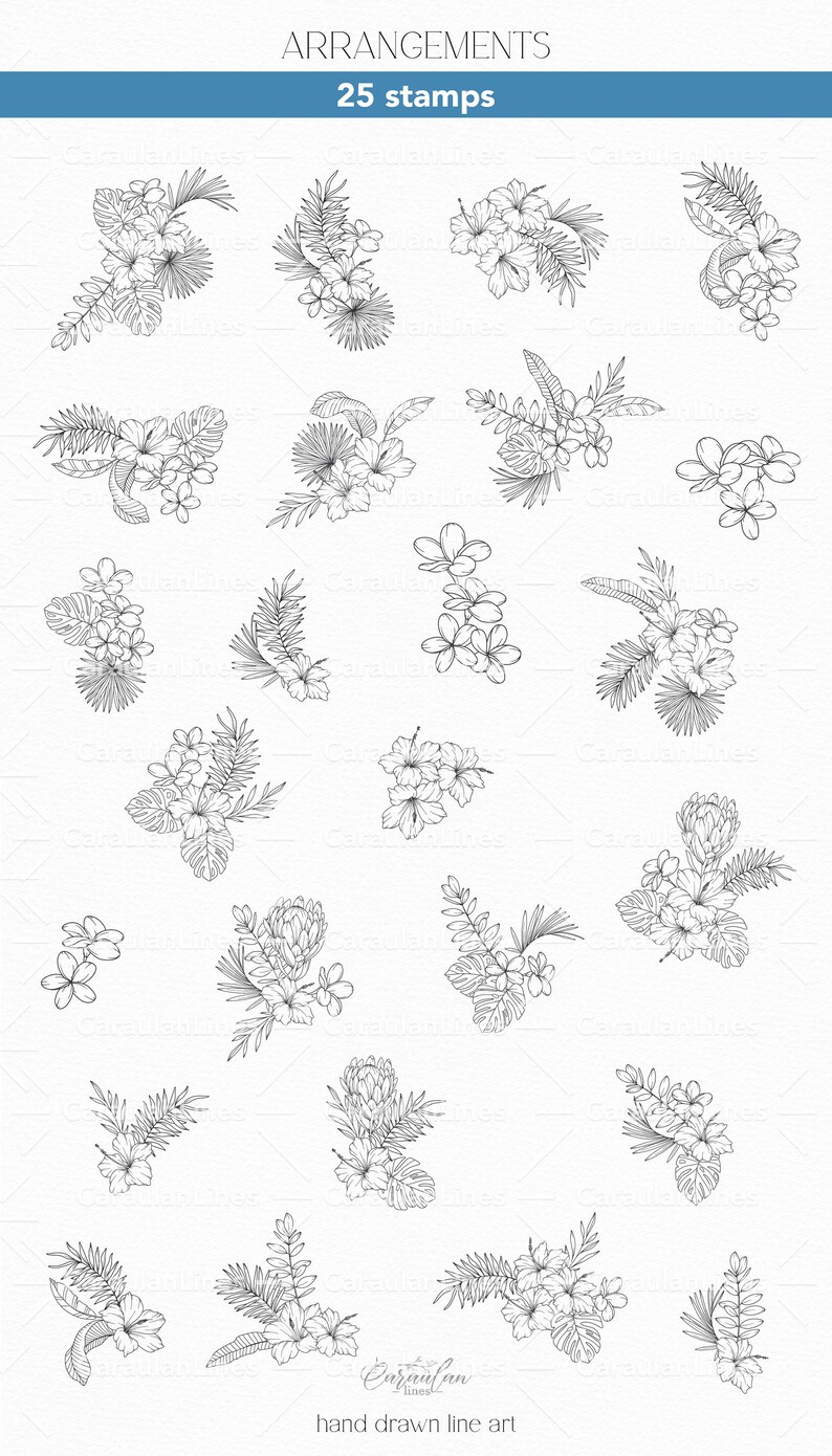Procreate Floral Stamp Brush Set: Tropical Plants and Flowers ...