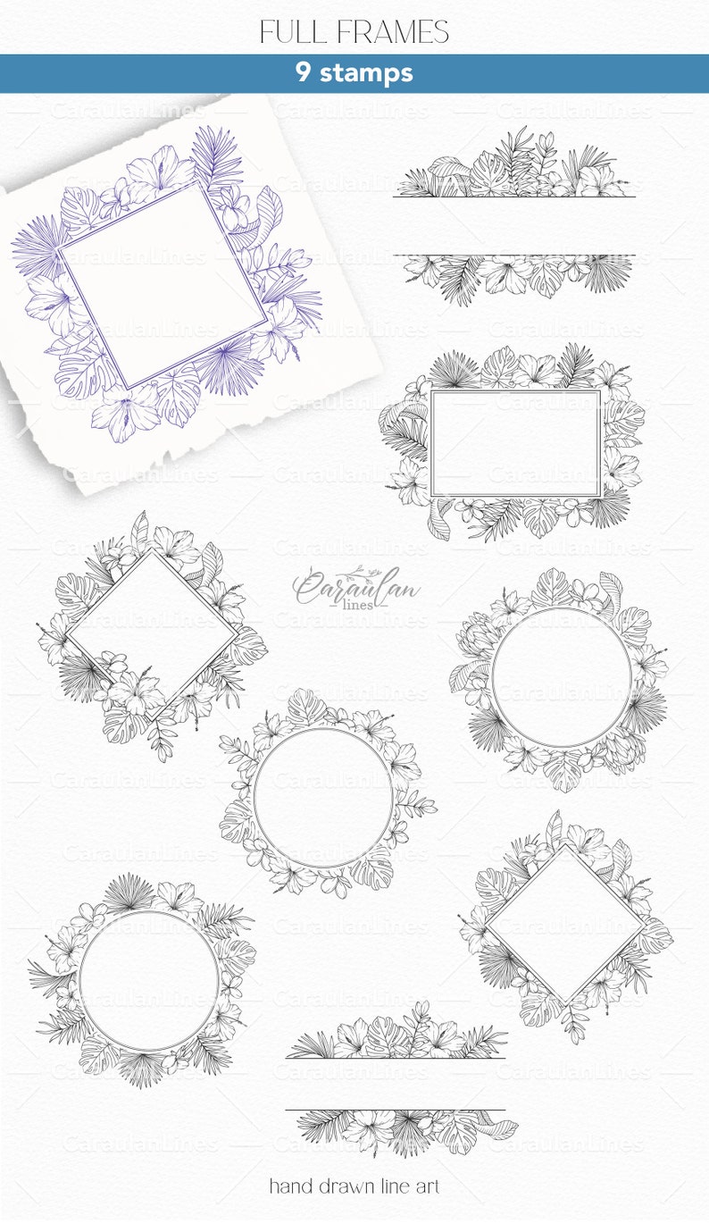 Procreate Floral Stamp Brush Set: Tropical Plants and Flowers ...