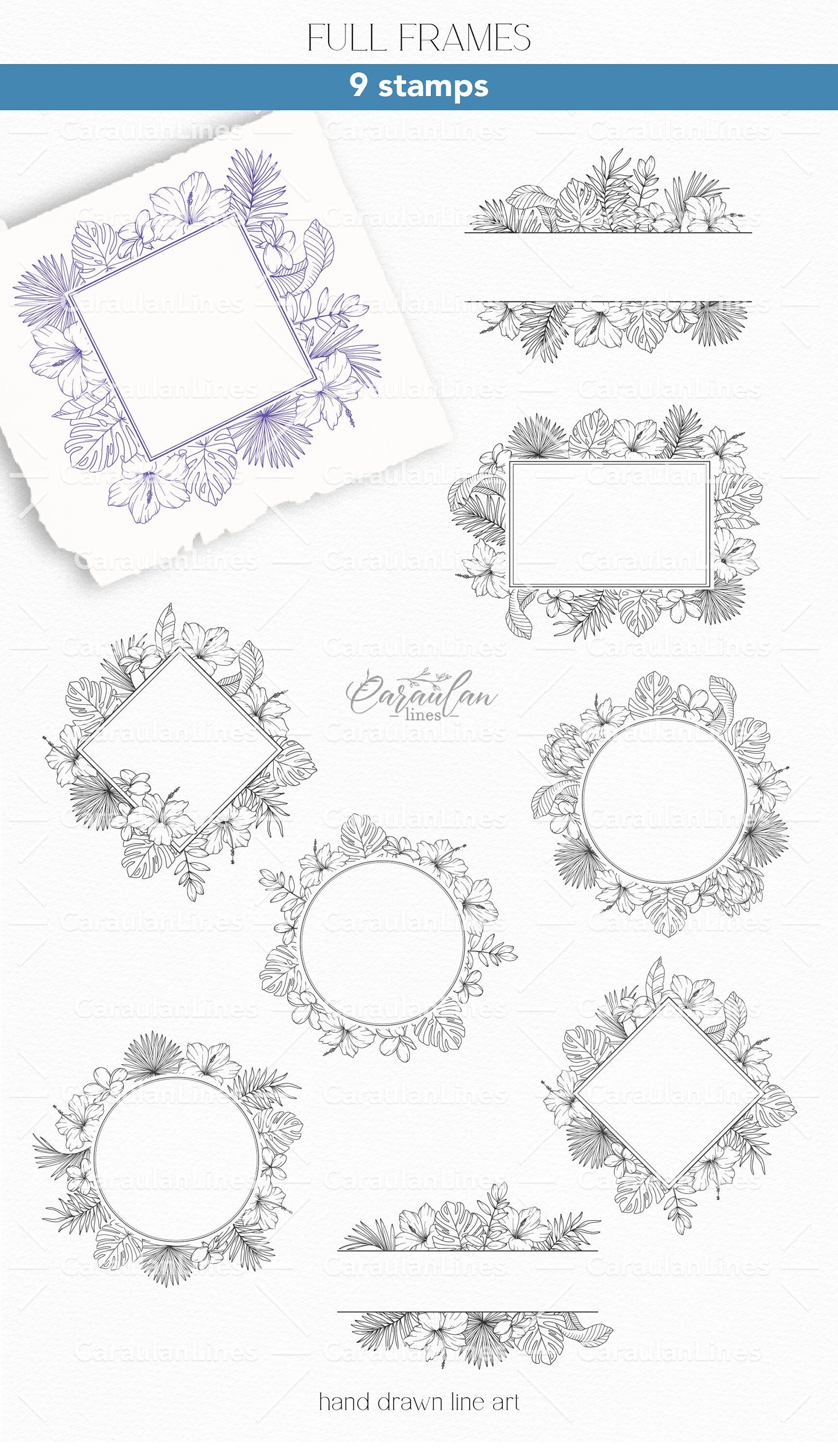 Procreate Floral Stamp Brush Set: Tropical Plants and Flowers ...