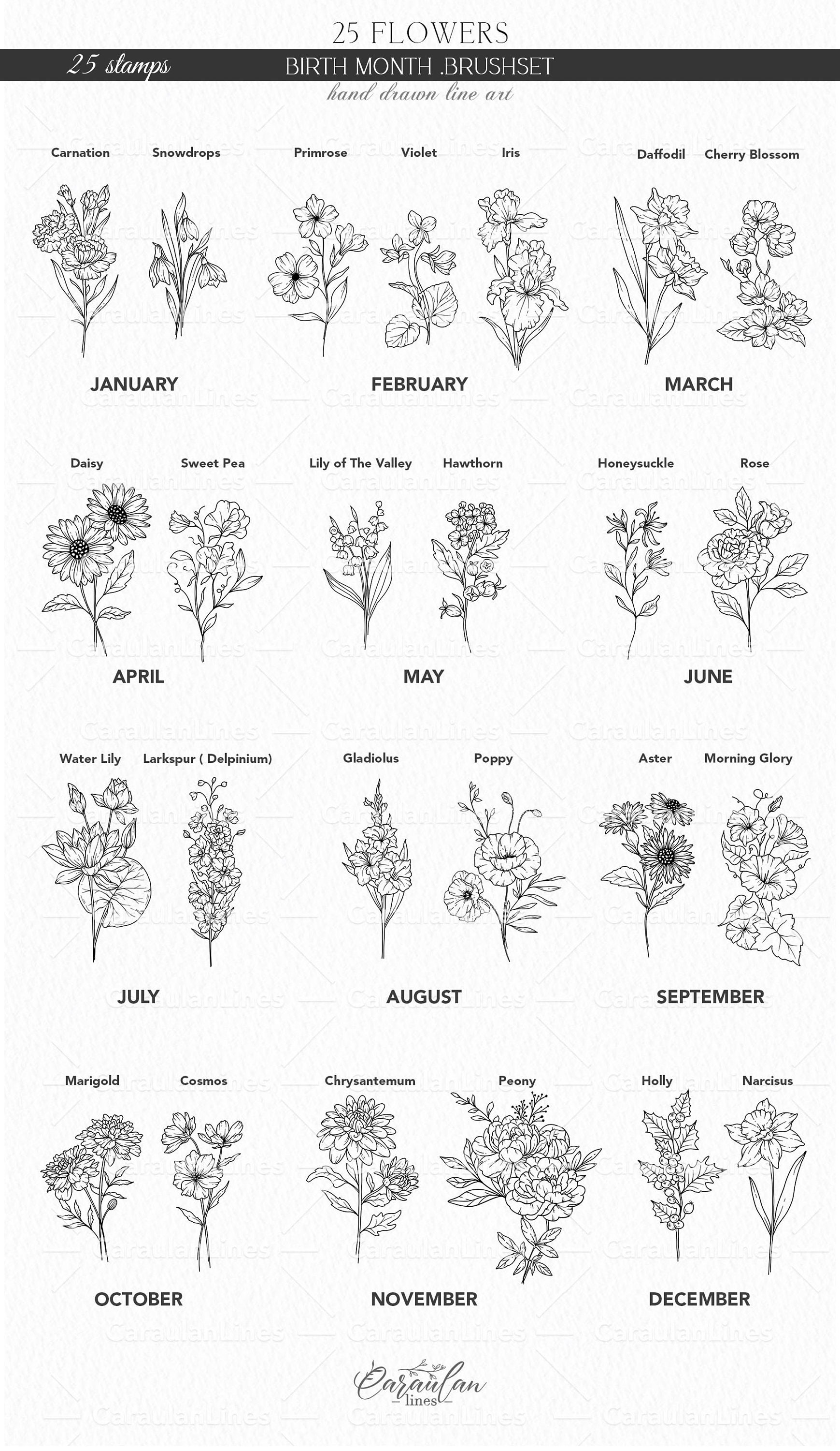 Birth Month Flower Procreate Stamps: Botanical Tattoo Brush Set ...