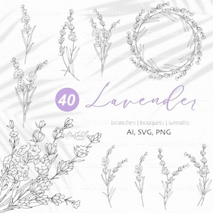 Pacote SVG de lavanda, Arte de linha de lavanda, Floral svg, Lavanda desenhada à mão, Coroa de lavanda SVG, Arte de linha floral, SVG botânico, Flor de esboço