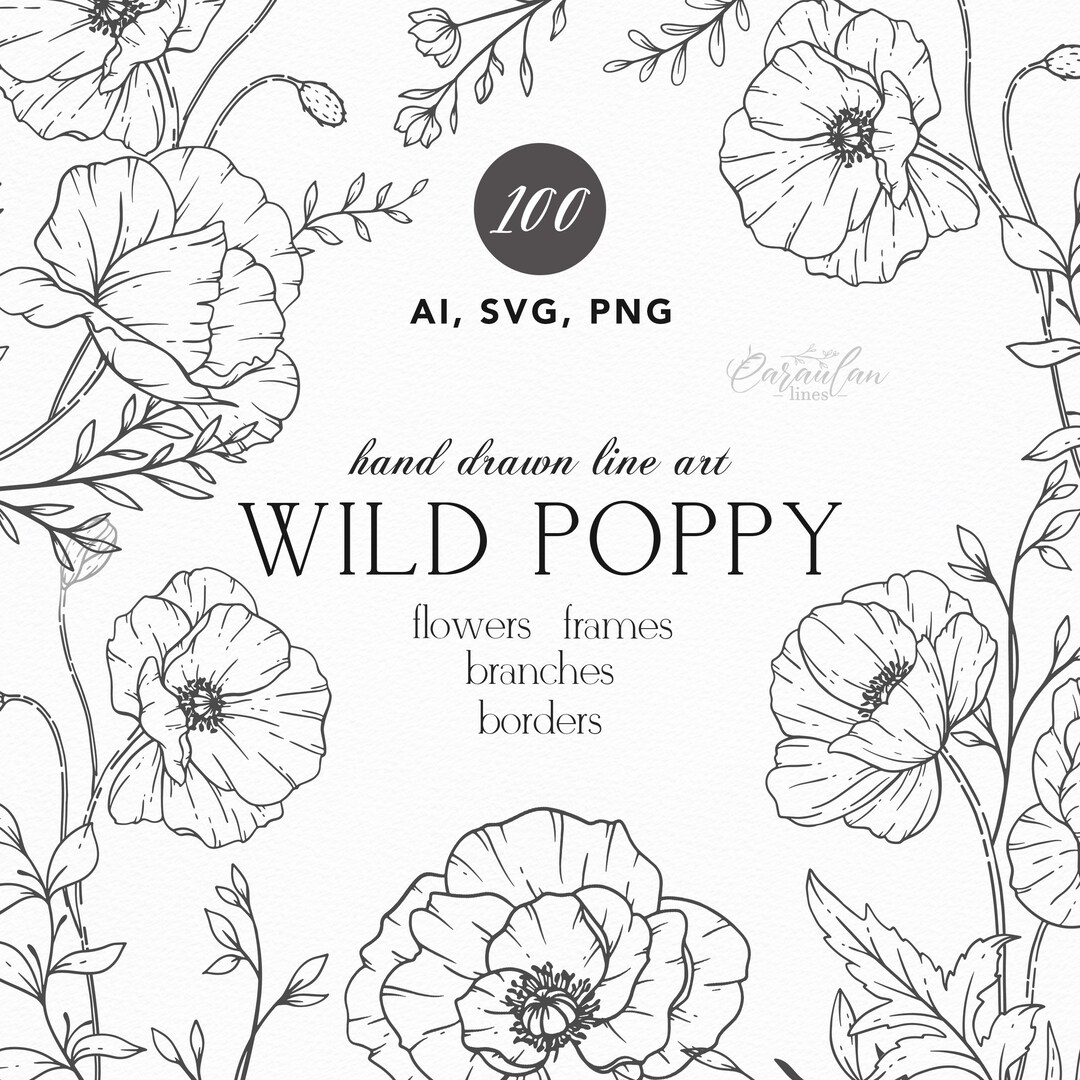 Poppy Flower Line Art Clipart: Botanical SVG, PNG, Vector Illustrations ...