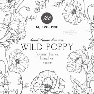 Clipart de arte de linha de flor de papoula, clipart botânico SVG, flores desenhadas à mão, arte de linha botânica PNG, flores SVG, ilustrações vetoriais florais