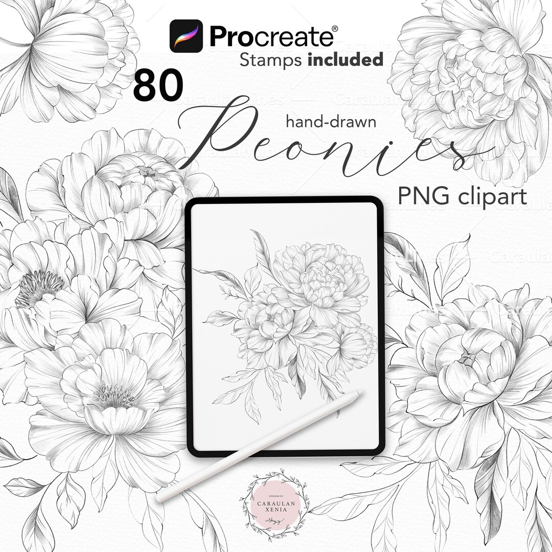 Procreate Floral Stamp, Peony Stamp, Floral Line Art, Botanical Stamps ...