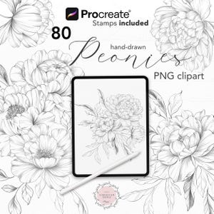 Procreate Floral Stamp, Peony Stamp, Floral Line Art, Botanical Stamps, Peony Tattoo Fine Line, Peony Line Drawing, Stamps for Procreate