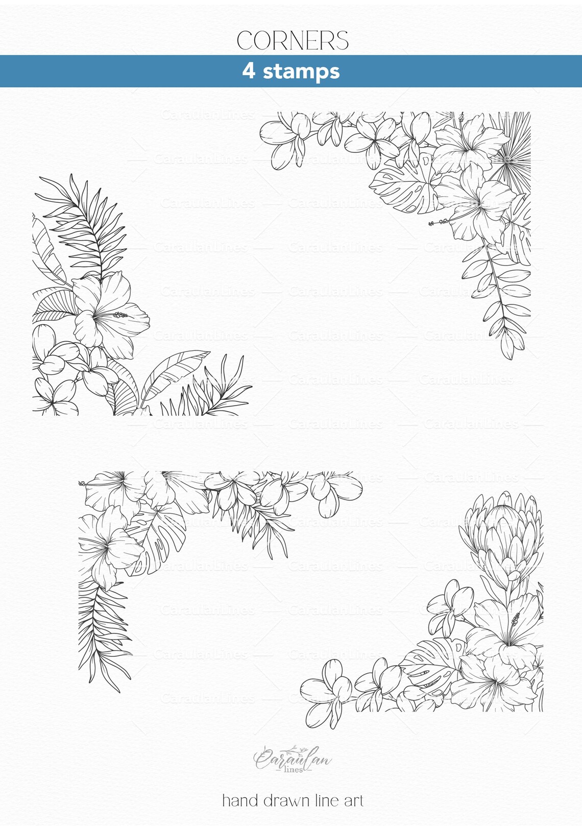 Procreate Floral Stamp Brush Set: Tropical Plants and Flowers ...